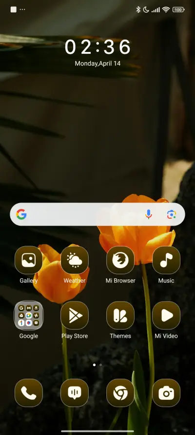 Rock Tulips - Screenshot 2