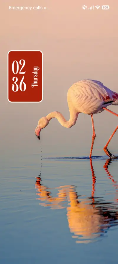 Flamingo THEME for Xiaomi MIUI HyperOS