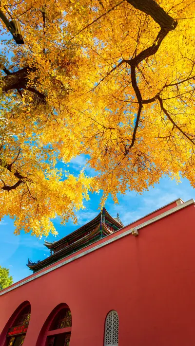 The best time for nanjing tourism