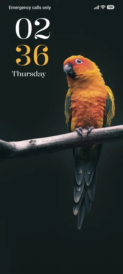 Sunset Parrot - Screenshot 1