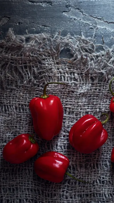 美食-【视觉中国】 (4) - Screenshot 1