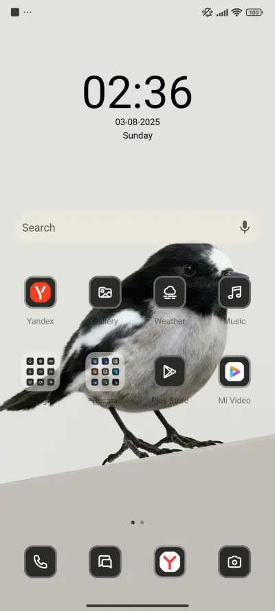 Bird - Screenshot 2