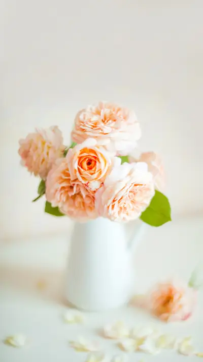 English tea roses in a vase on a white background - Screenshot 1