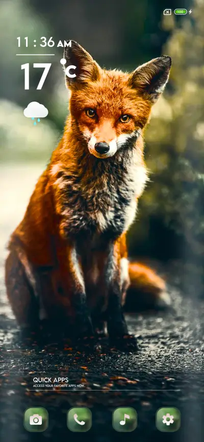 Wild il - Screenshot 1