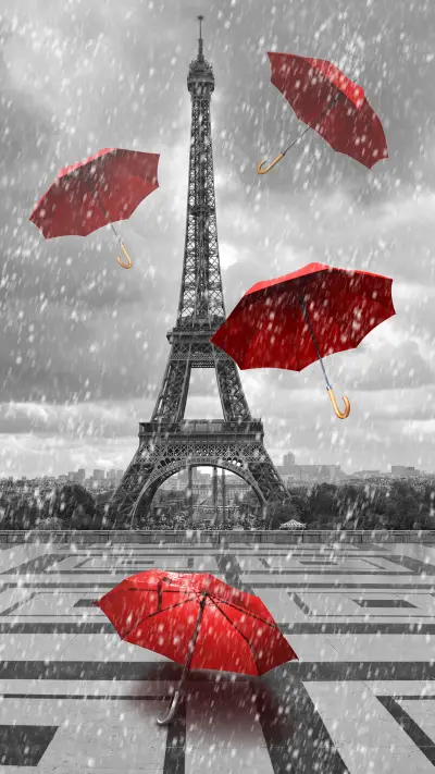 PAIXIN_Eiffel Tower (5)