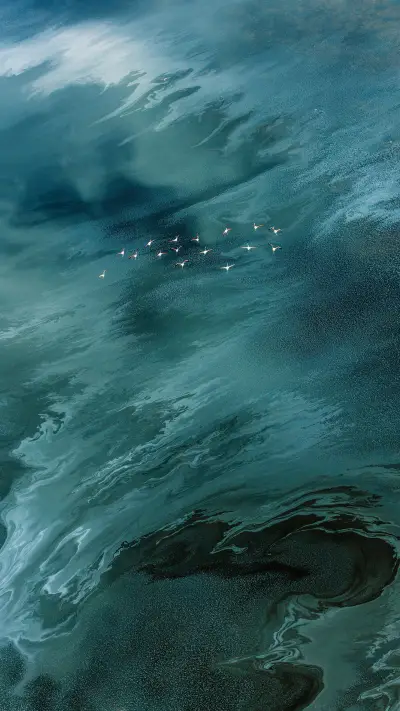 Overwintering migratory birds arrive as scheduled