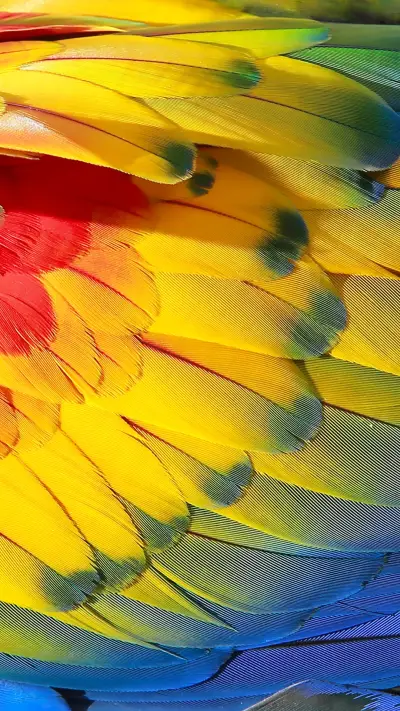 抽象-【视觉中国】 (20)