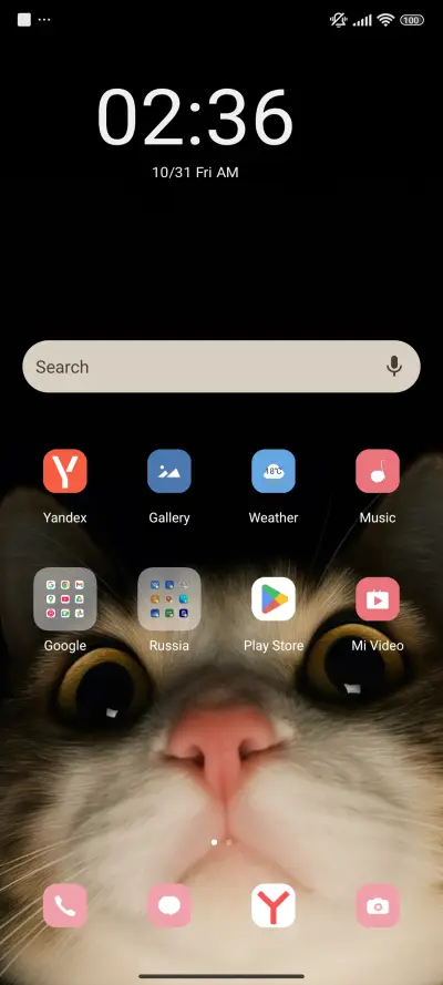 cat - Screenshot 2