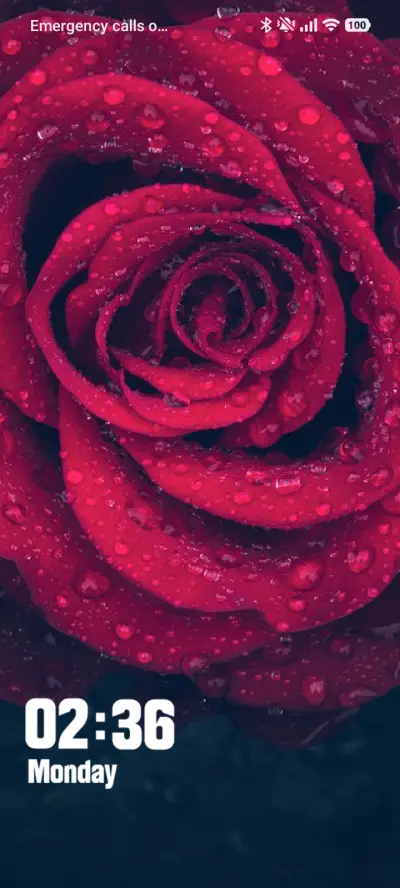 Rose Rain