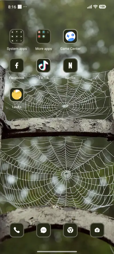 Spider Web - Screenshot 3