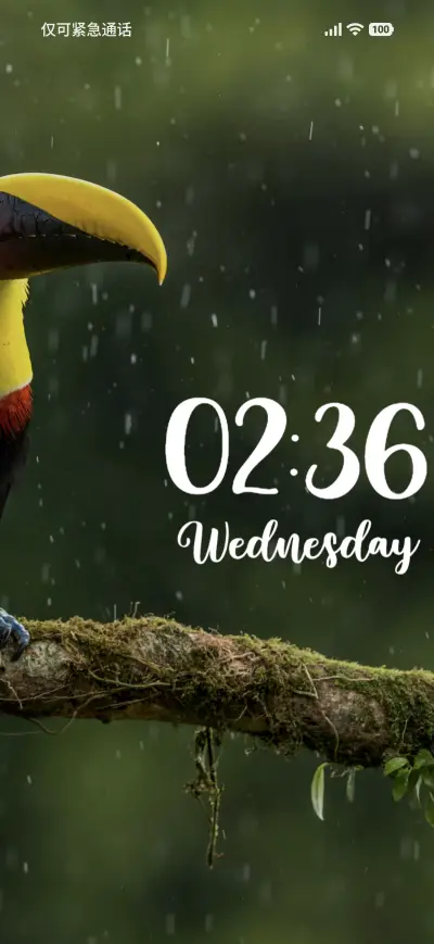 Toucan Bird - Screenshot 1