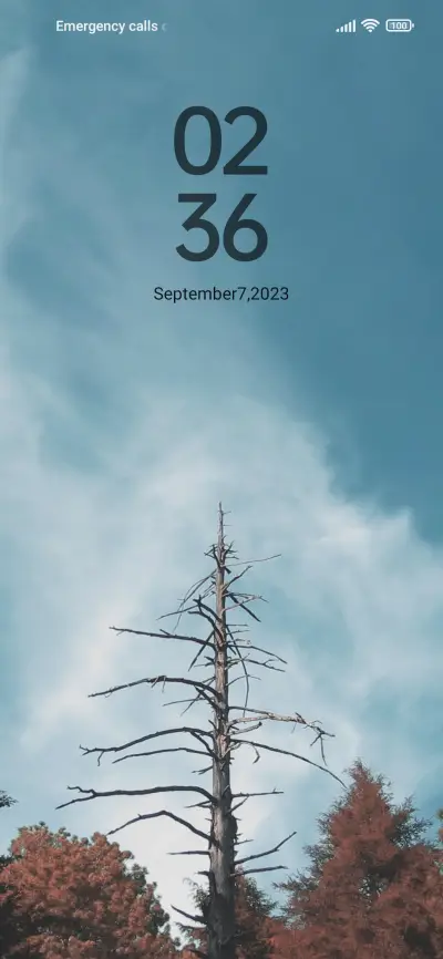 Maplewood - Screenshot 2