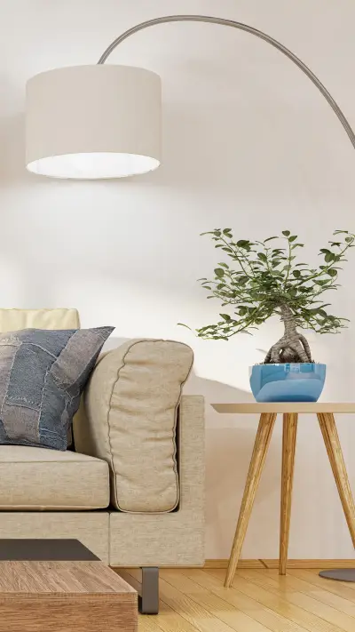 How to clean the sofa 3