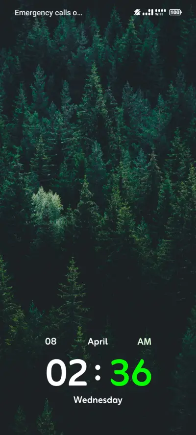 Forest