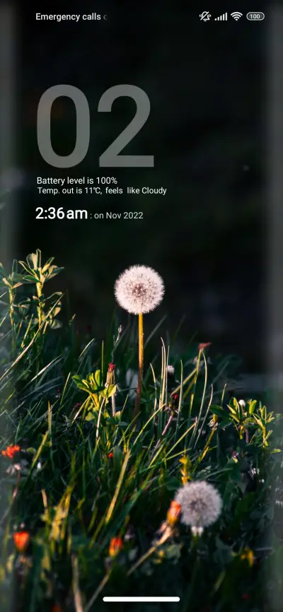 Flower_nature - Screenshot 1