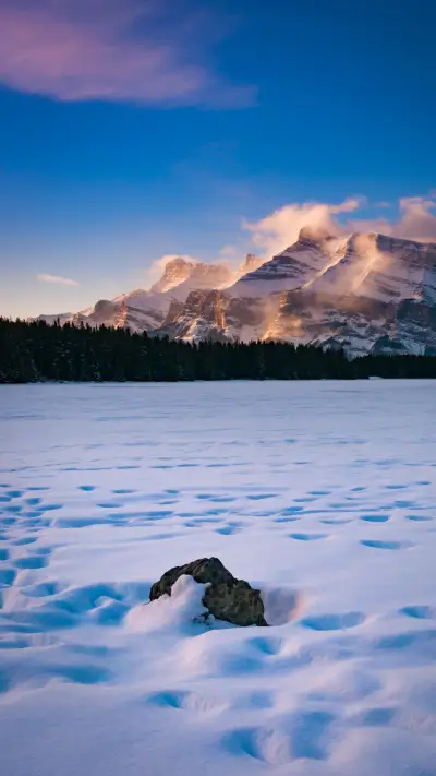 Be intoxicated with pure beauty