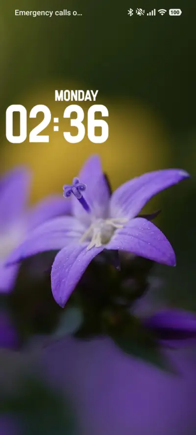 Anemone