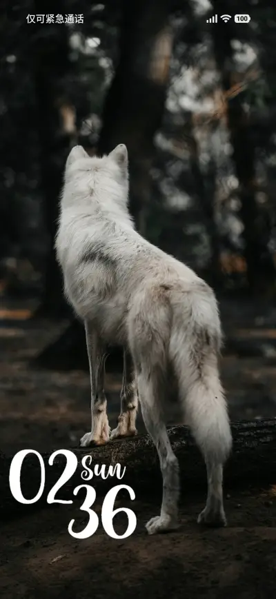 White Dog - Screenshot 1