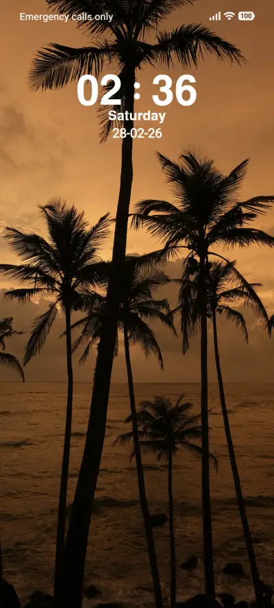Palm Trees - Screenshot 1