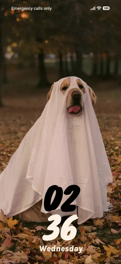 Ghost Pup THEME for Xiaomi MIUI HyperOS