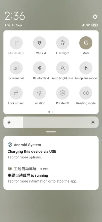 Camellia opened - Screenshot 5