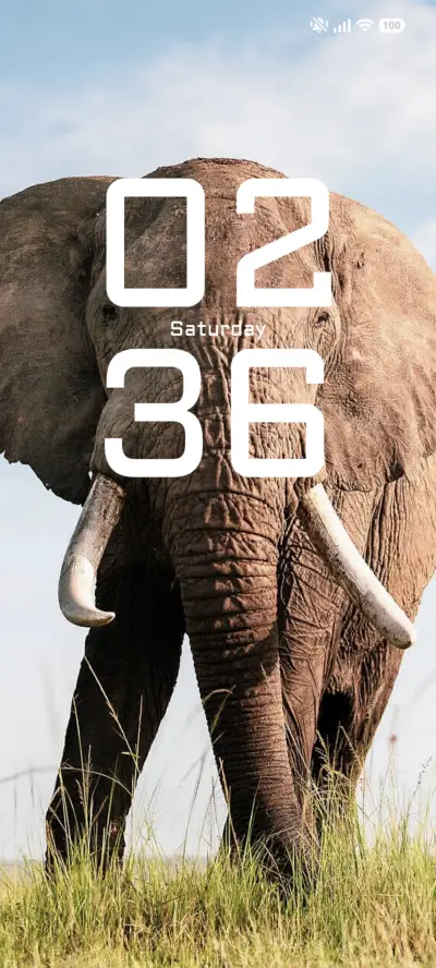 City Stroll THEME for Xiaomi MIUI HyperOS