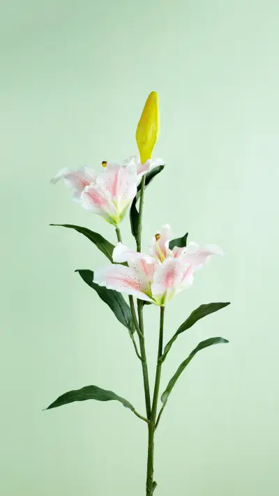 Simple eye care flowers