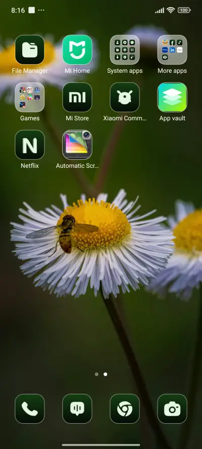 Bee Daisy - Screenshot 3