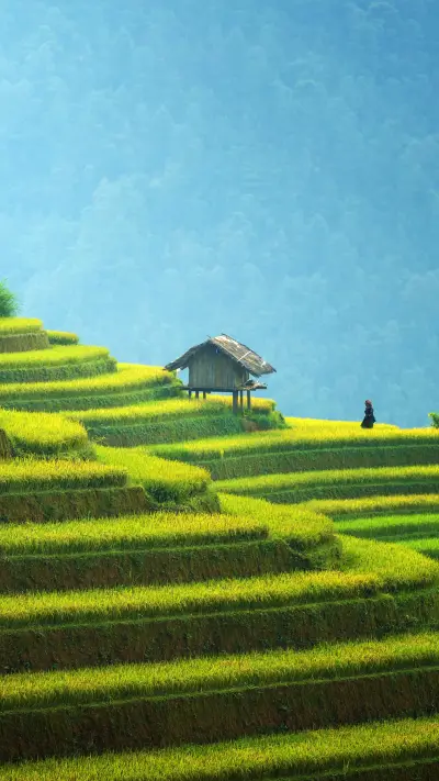 Exploring agricultural wonders and terraced fields - Screenshot 1