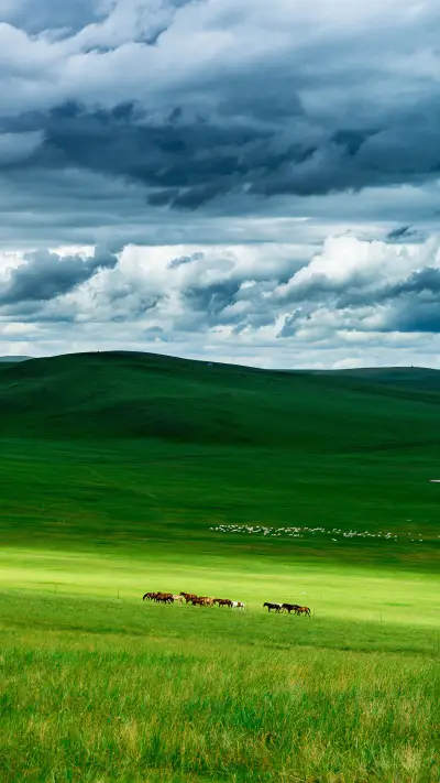 How beautiful Hulunbuir grassland is 90
