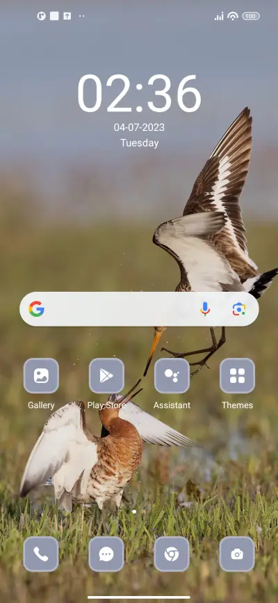 Birds - Screenshot 2