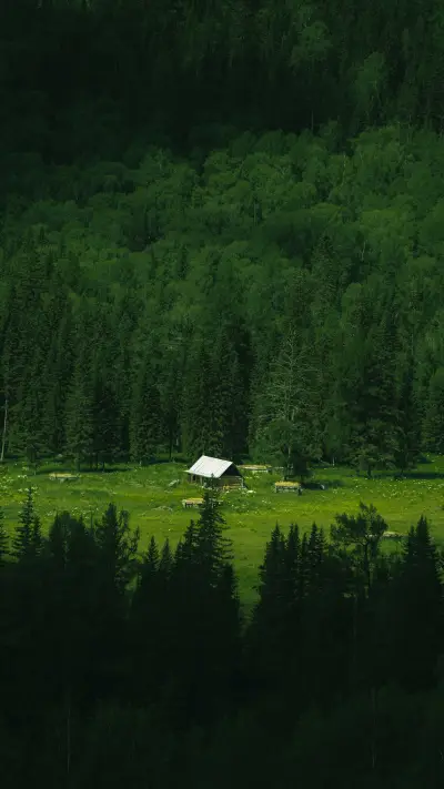 Essence of travel in northern xinjiang - Screenshot 1