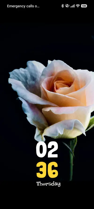 Vibrant Orange - Screenshot 1