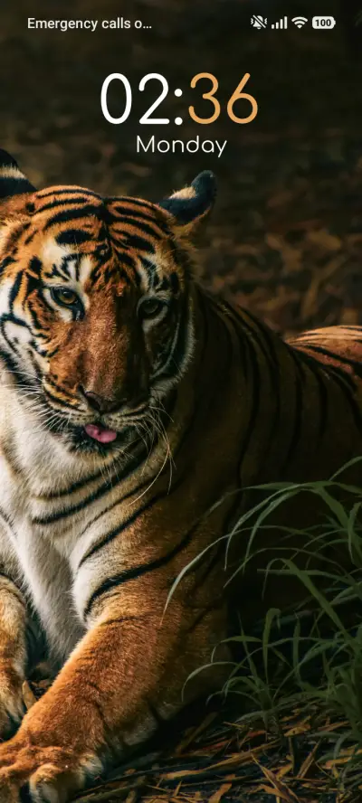 Woodland Calm - Screenshot 1