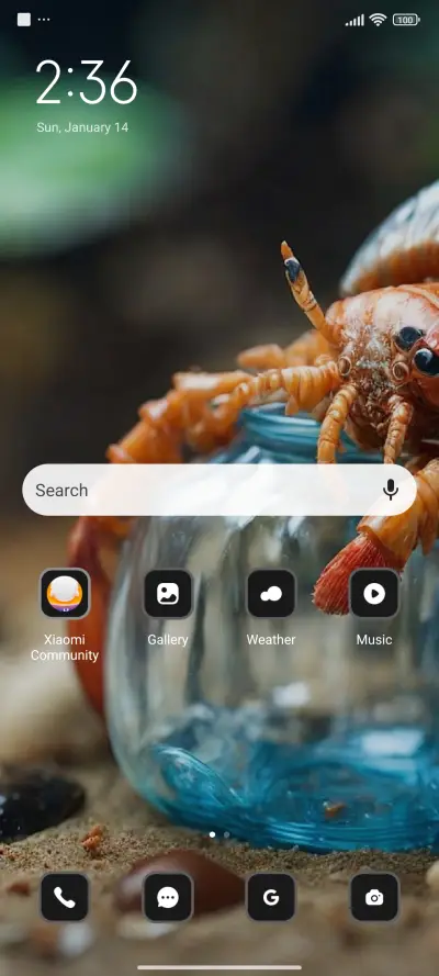Crab - Screenshot 2