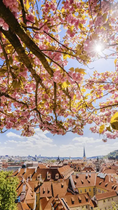 Gorgeous buildings 13