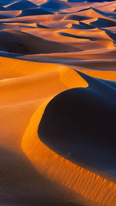 Taklamakan desert turns into grassland