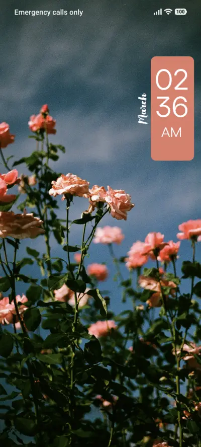 Flower Sky - Screenshot 1