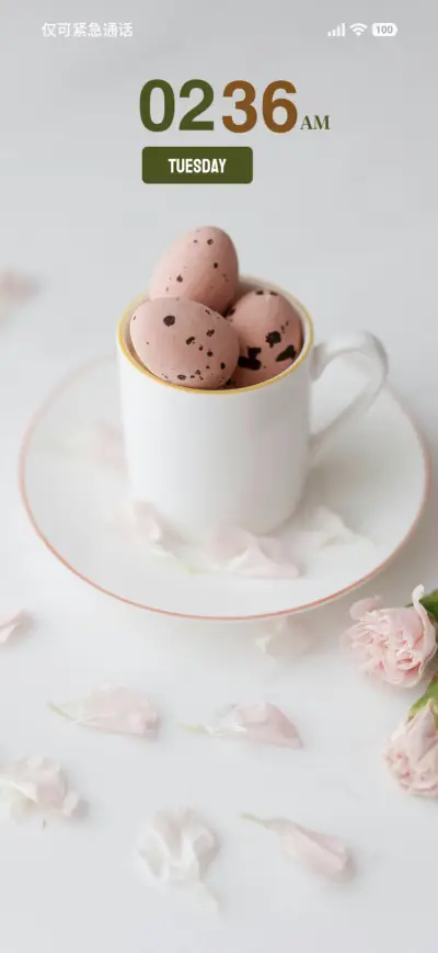 Egg Design - Screenshot 1