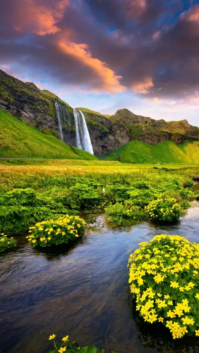 VCG41N681608928 - Screenshot 1