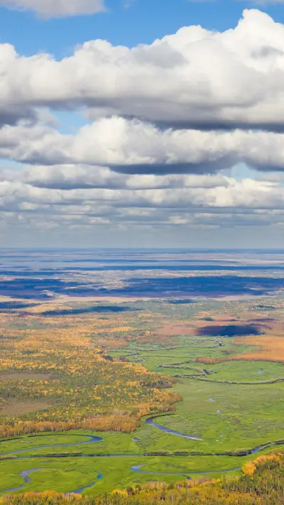 Forest scenery - Screenshot 1