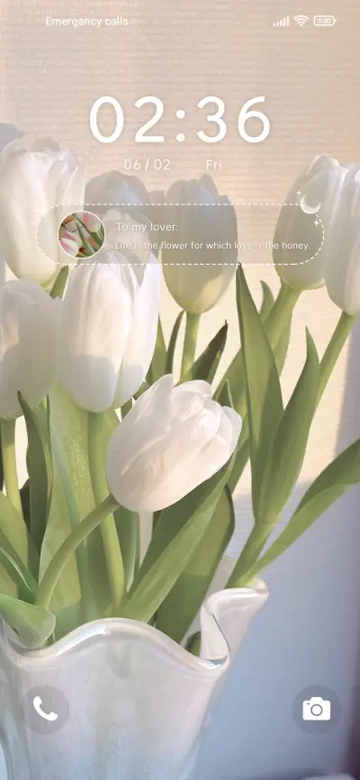 romantic tulip - Screenshot 1