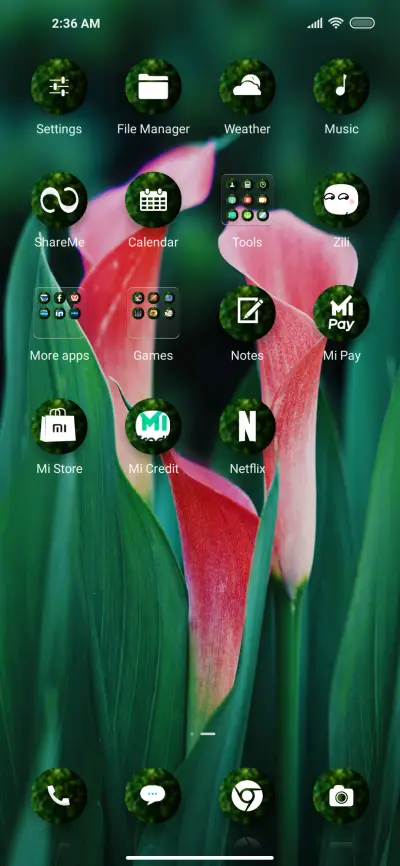 Plantz quo - Screenshot 3