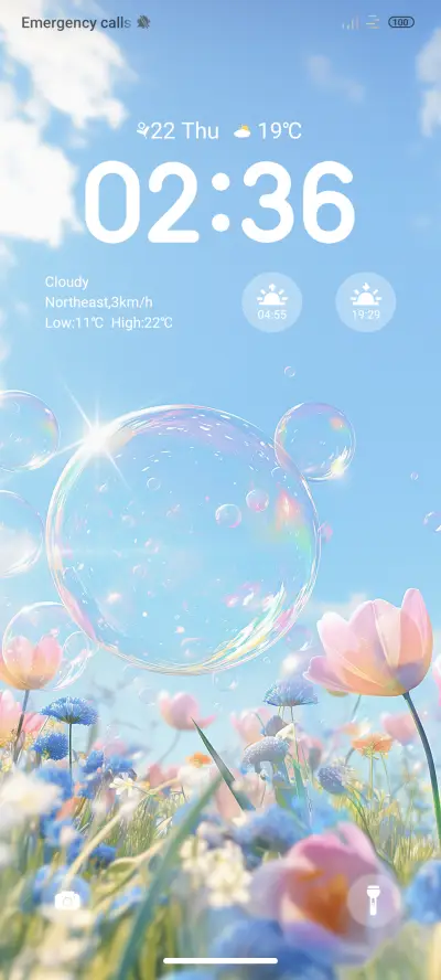 Fantasy Flowers - Screenshot 1