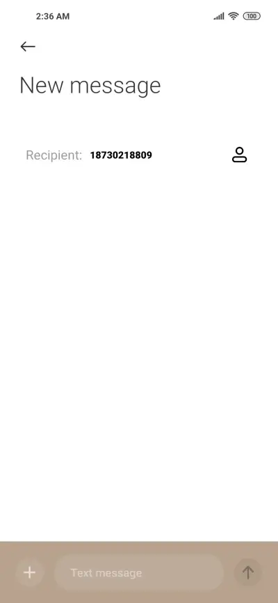 Bouquet of flowers - Screenshot 9