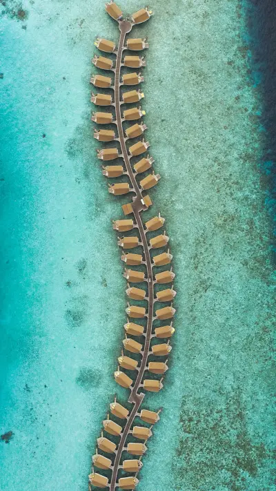 Earth From Above (5)