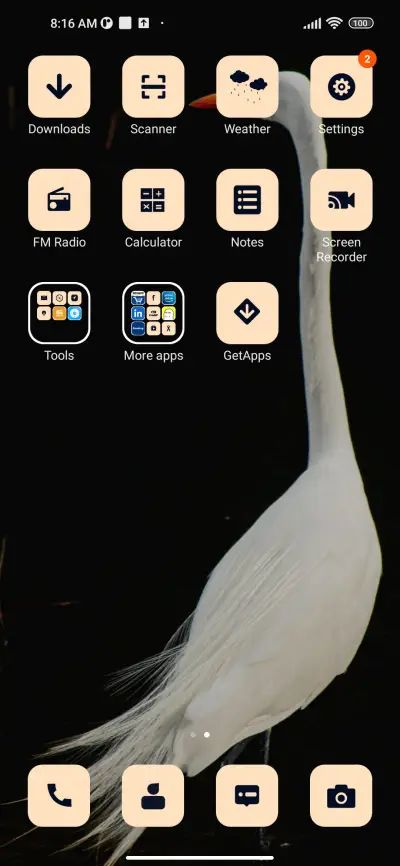 Bald Eagle - Screenshot 3