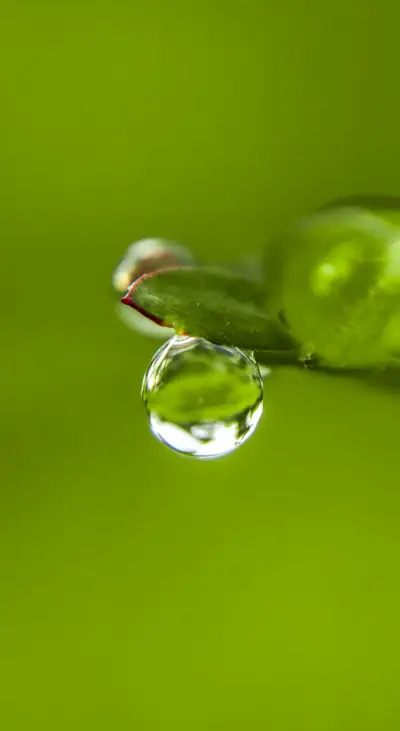 Nihal Athri - Screenshot 1