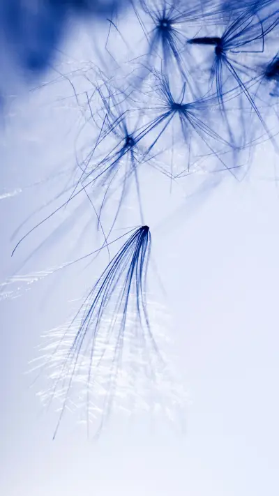 Minimalist still life-02