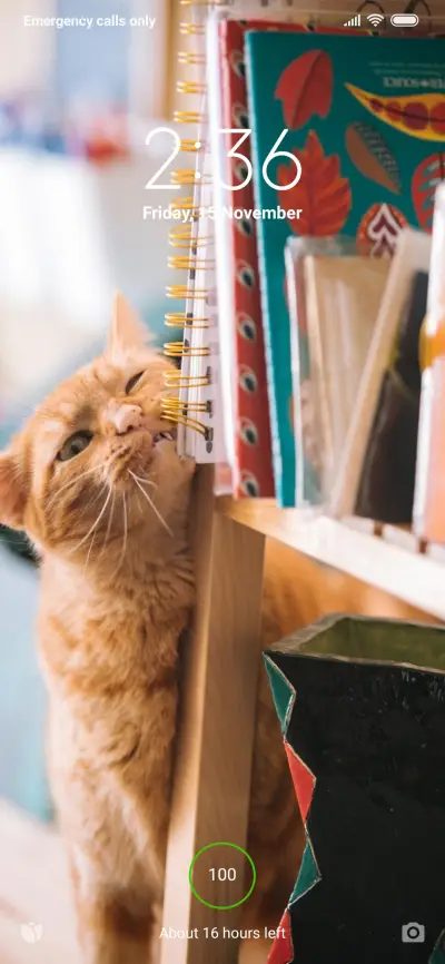 Official MIUI Theme_7